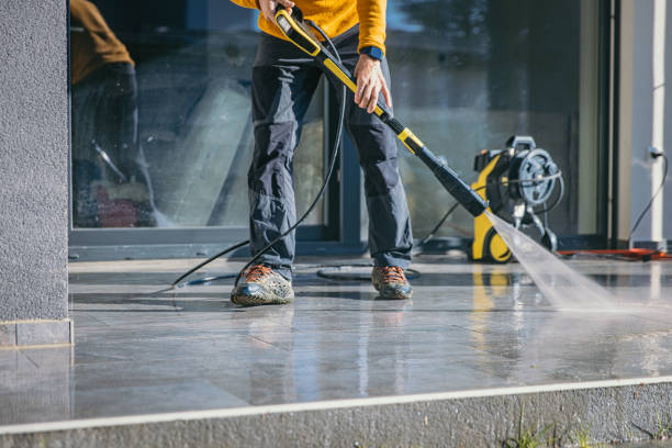 Best Animal Enclosure Cleaning  in Chenango Bridge, NY